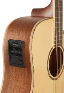 Tanglewood TP5SE