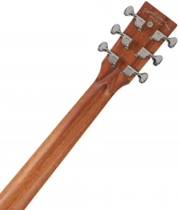 Tanglewood TP5SE