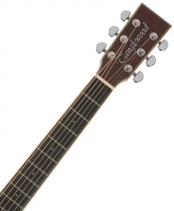 Tanglewood TW5CE AVB