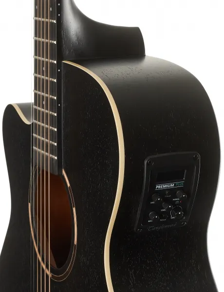 Tanglewood TWBBSFCE LH