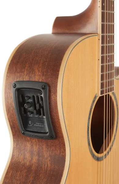 Tanglewood TW4CE NA