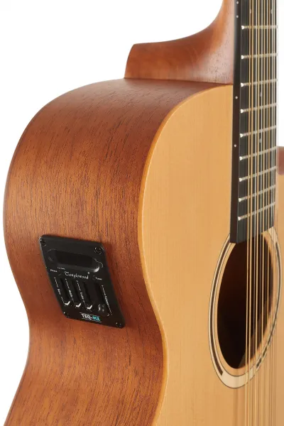 Tanglewood TR412CE