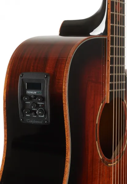 Tanglewood TWX5CE K