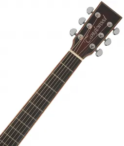 Tanglewood TWX5CE K