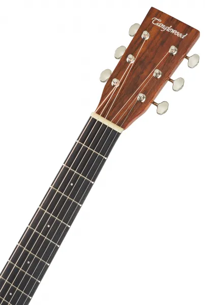 Tanglewood TW40DANE