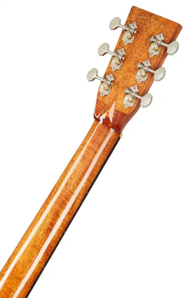 Tanglewood TW40DANE