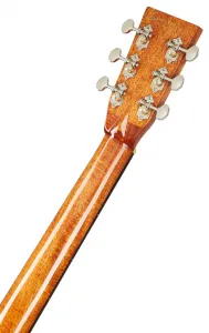 Tanglewood TW40DANE