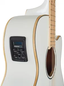 Tanglewood TW4CE BLW