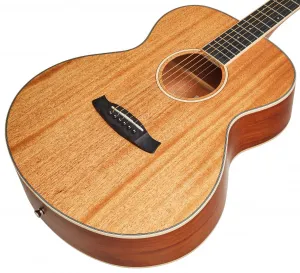 Tanglewood TUN3