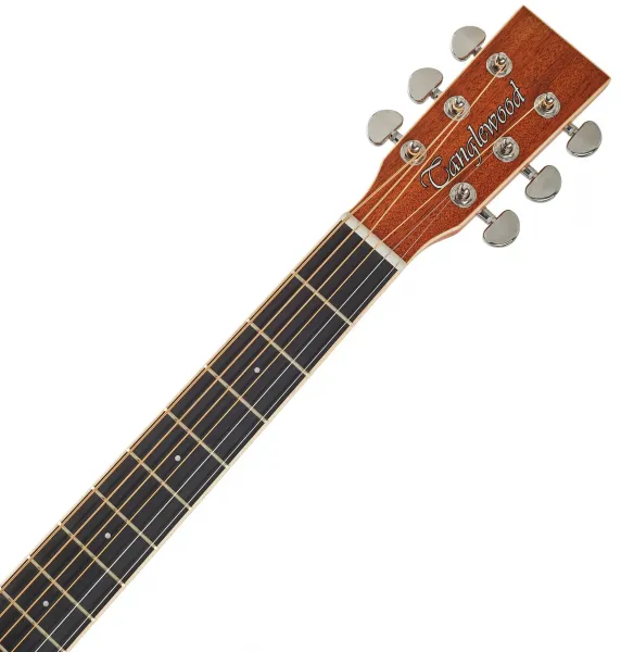 Tanglewood TUN3