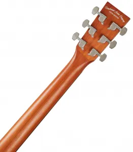 Tanglewood TR5