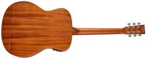 Tanglewood TR3E