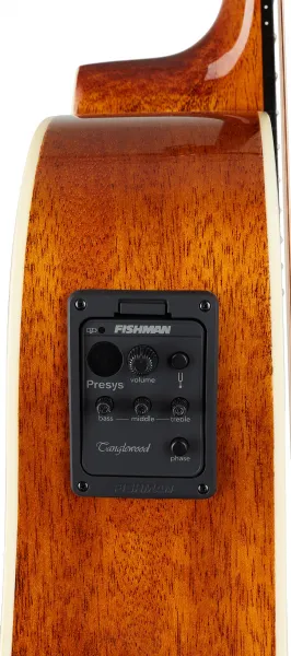 Tanglewood TW40DANE