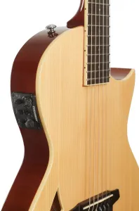 ESP LTD TL-6 N NAT