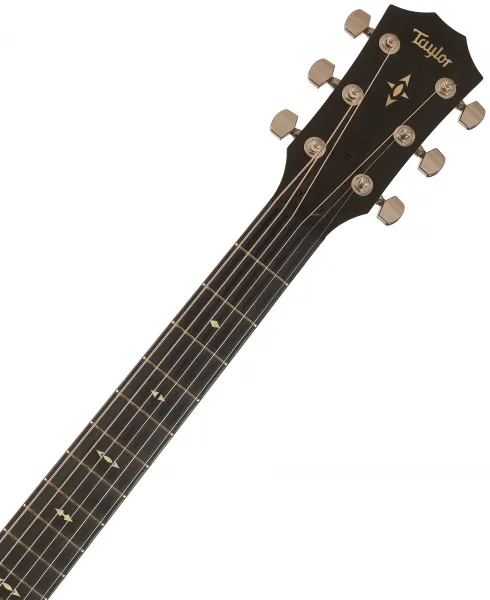 Taylor Builders Edition 517e
