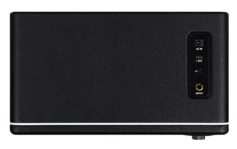 Mooer Hornet 15i Black