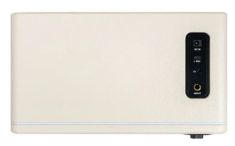 Mooer Hornet 15i White