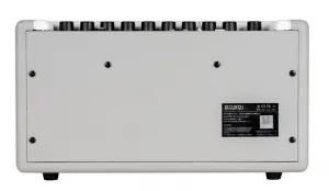 Mooer SD30i