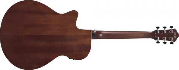 Ibanez AEG50 Black Aurora Burst