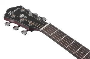 Ibanez AEG50 Black Aurora Burst