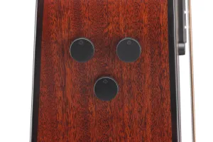 Ibanez AAD400CES Natural