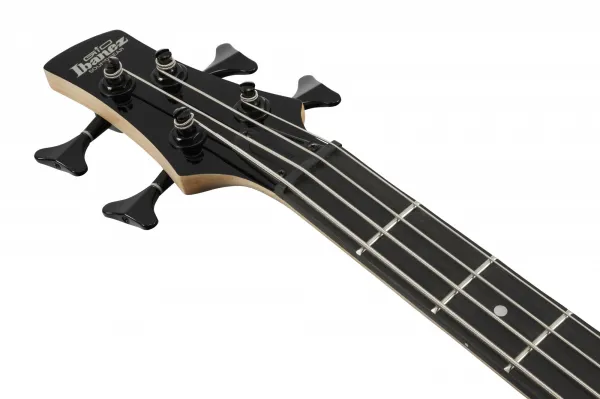 Ibanez GSR280QA-TMS