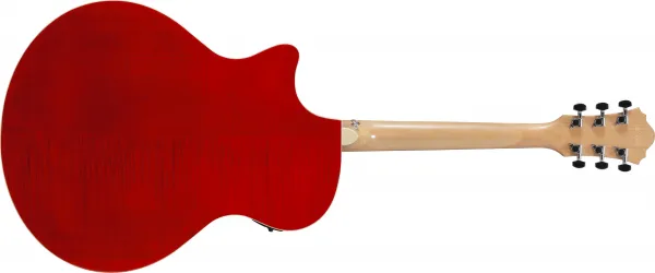 Ibanez AE170R Natural