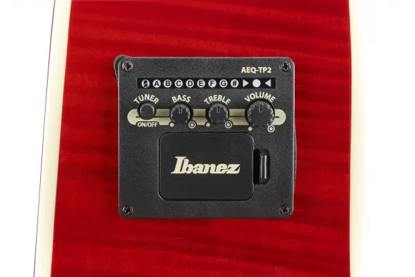 Ibanez AE170R Natural