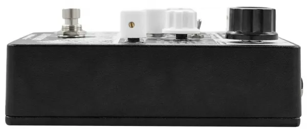 Earthquaker Devices Data Corrupter