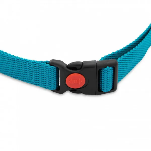 Dogtrace d-control 1000 mini