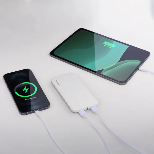 MG WPBWE1 Power Bank 10000mAh 2x USB, biely (WPBWE1)
