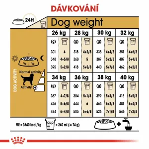 Royal Canin Dog Adult Labrador - 12kg