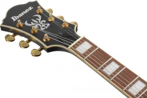 Ibanez AF75G BLK
