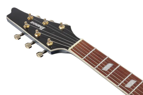 Ibanez IC420-ABM
