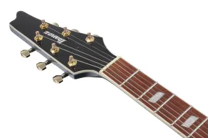 Ibanez IC420-ABM
