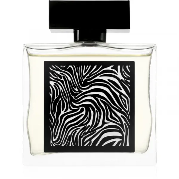 Fragrance World Encrypt parfumovaná voda pre mužov 85 ml