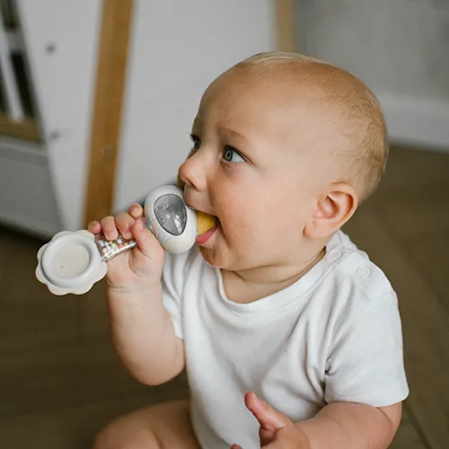 BABYONO Hrkálka s hryzačkou 3m+ Bee
