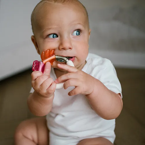 BABYONO Hrkálka s hryzačkou 3m+ Fruits