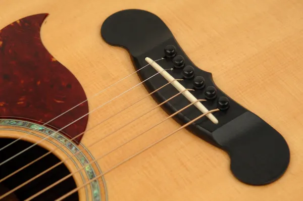 D'Addario Plastic Bridge Pins Black