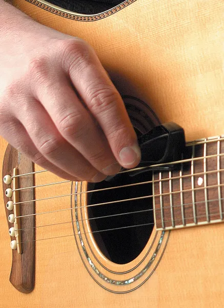 D'Addario PW-PW1