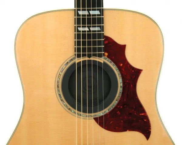 D'Addario PW-SH-01