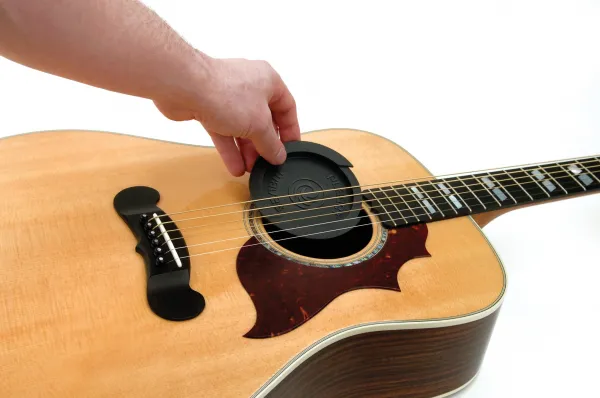 D'Addario PW-SH-01