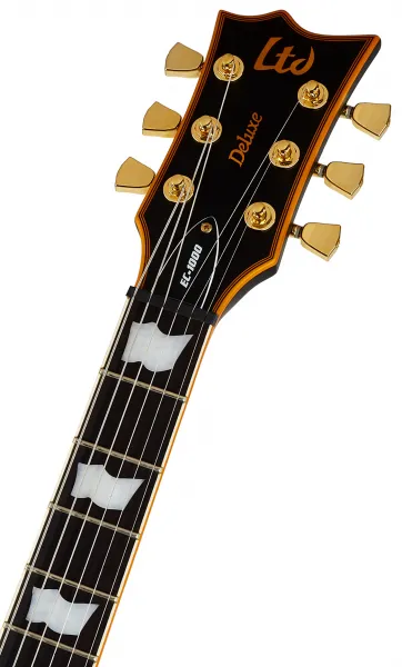 ESP LTD EC-1000 VB