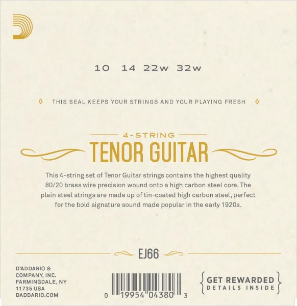 D'Addario EJ66