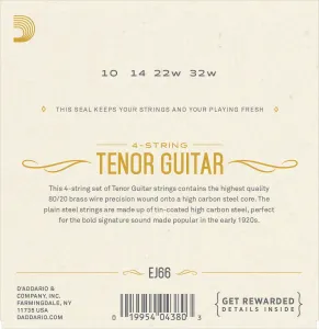 D'Addario EJ66