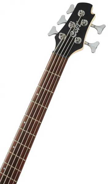 Cort Action V Plus BK