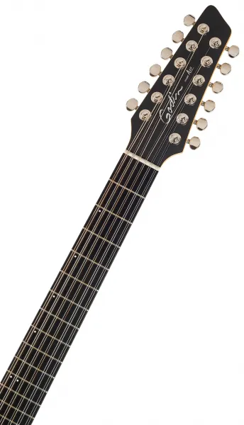 Godin A12 Black HG