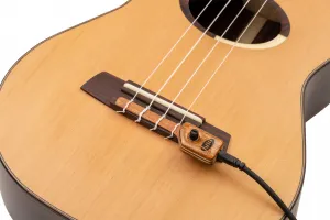 KNA Pickups UK-2