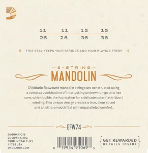 D'Addario EFW74
