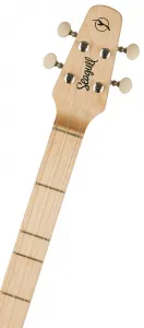 Seagull M4 Natural Mahogany SG